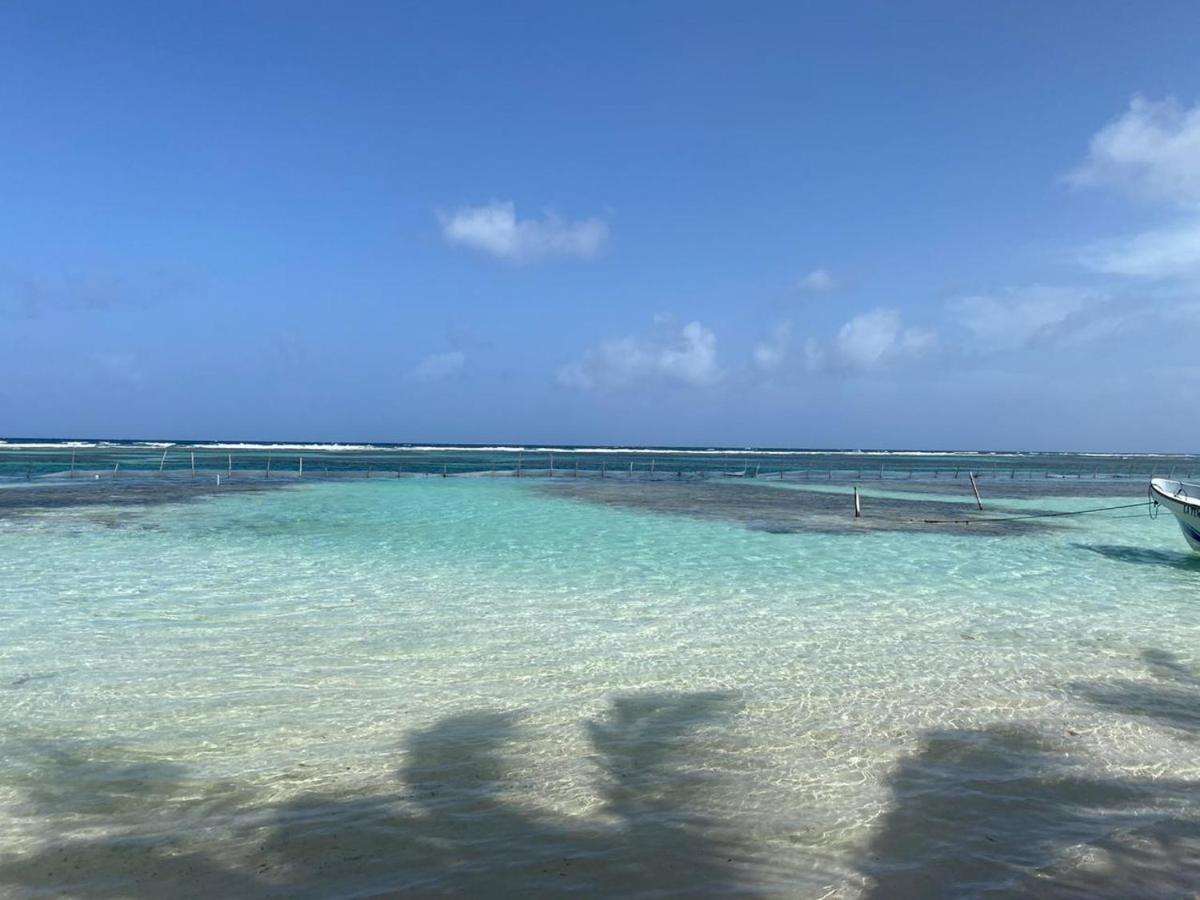 Hotel Blue Reef Frente Al Mar Mahahual Bagian luar foto