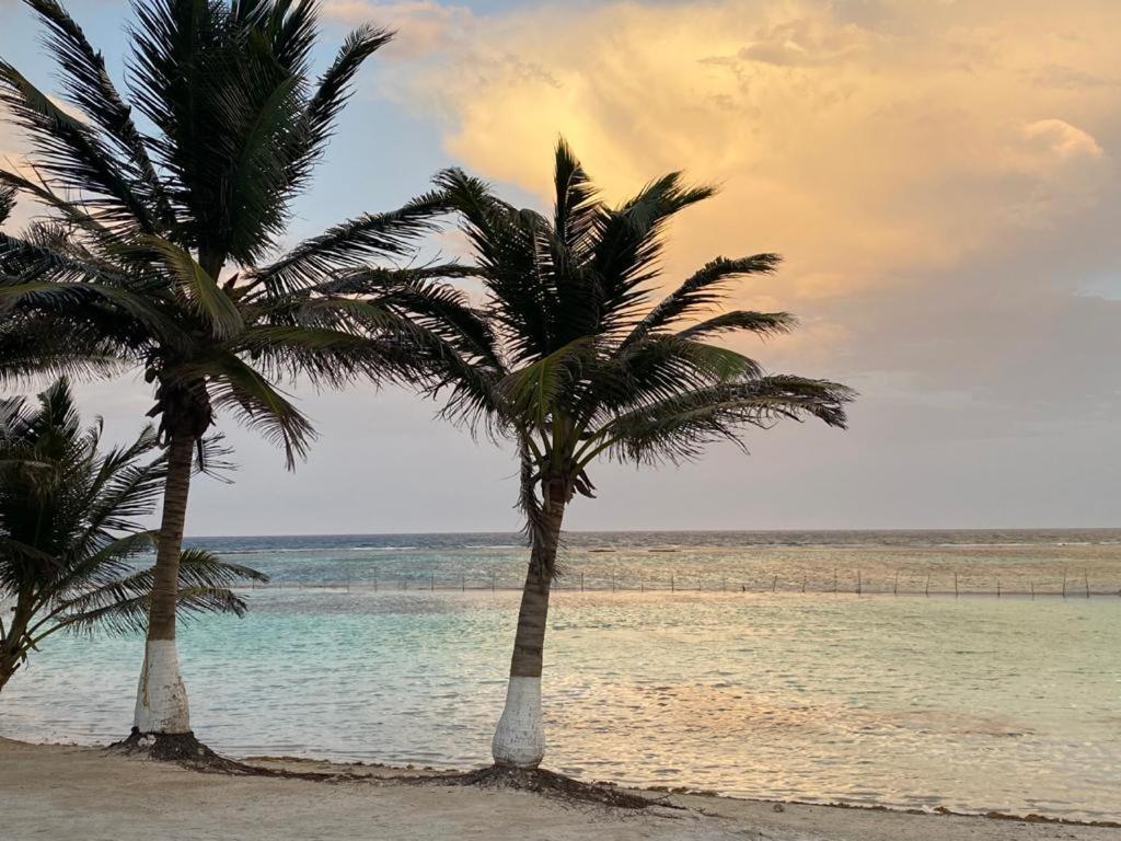 Hotel Blue Reef Frente Al Mar Mahahual Bagian luar foto