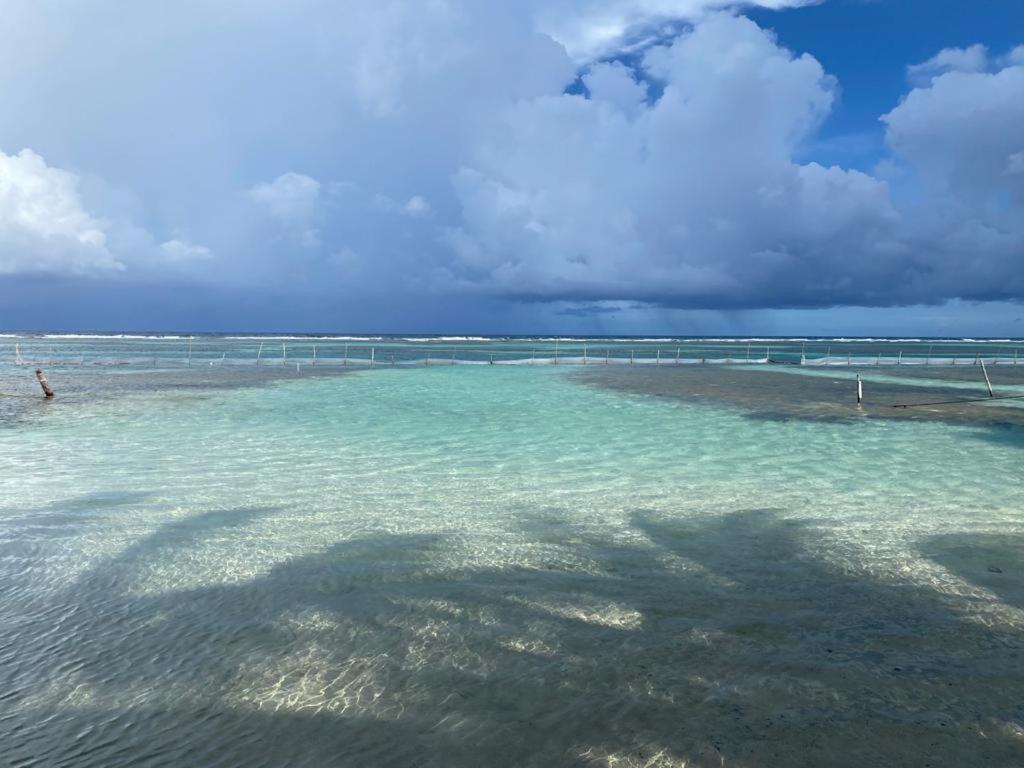 Hotel Blue Reef Frente Al Mar Mahahual Bagian luar foto